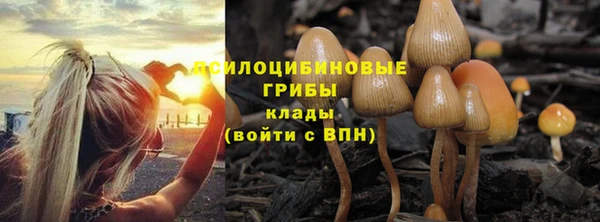 амф Медногорск